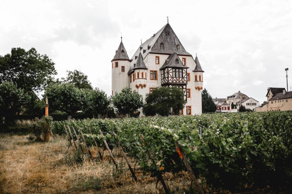 Schloss Schoenborn Geisenheim Exterior photo